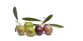 Паста Линия Росса с оливковым маслом