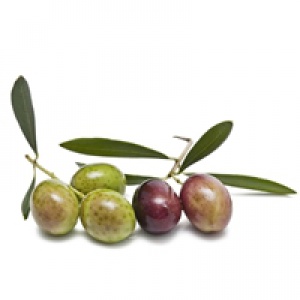 Olio extravergine di oliva biologico содержимое
